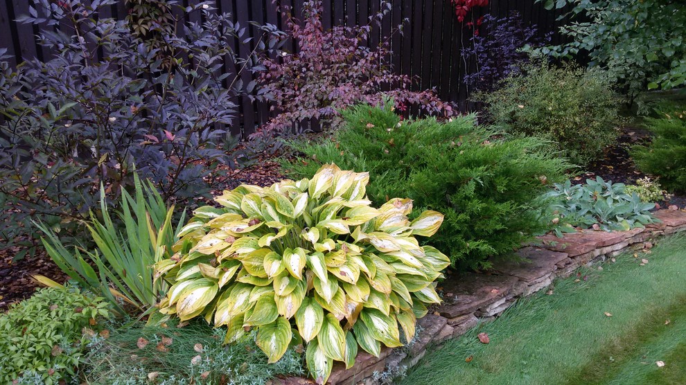 Солнечный акцент в осеннем саду