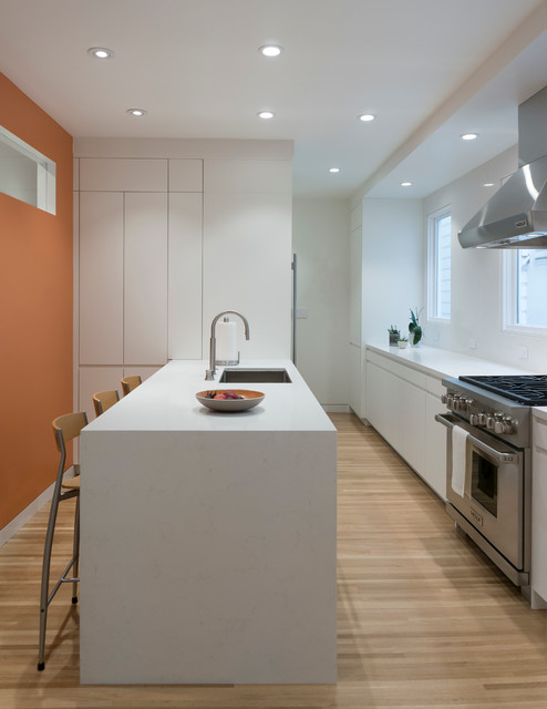 Pacific Heights Remodel minimalistisch-kueche