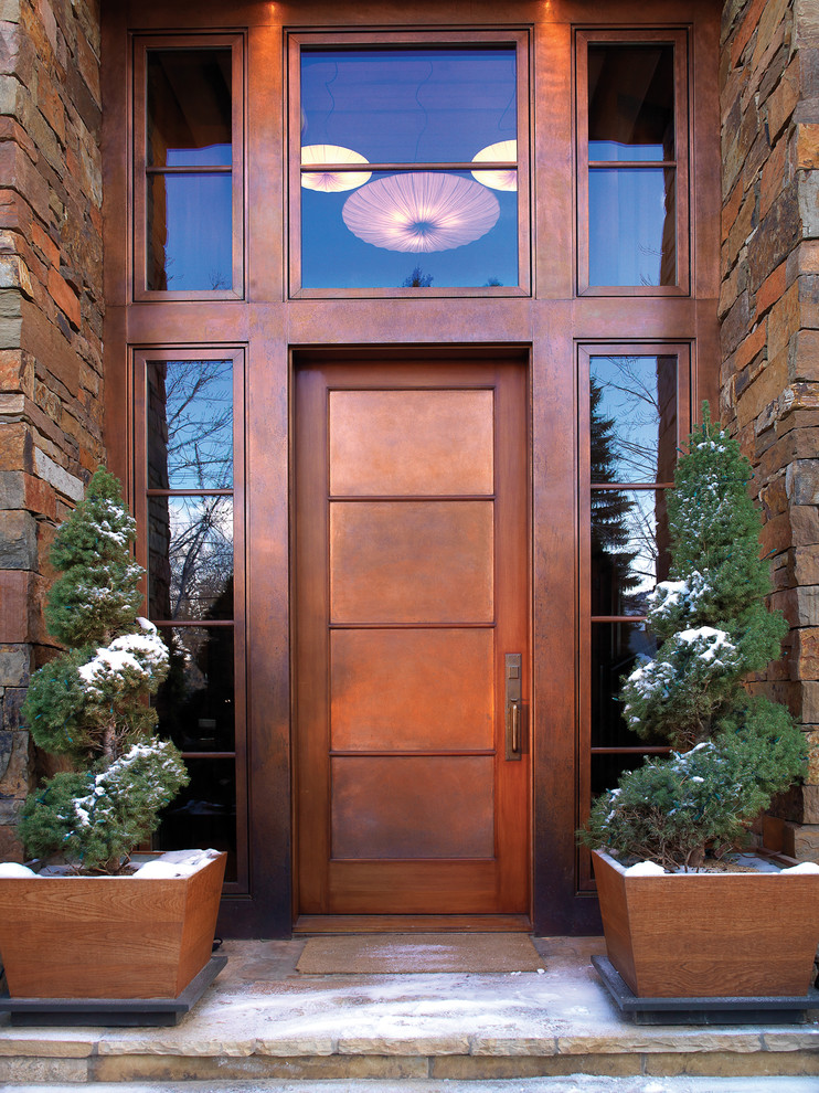 This is an example of a contemporary front door in Other with a single front door and a metal front door.