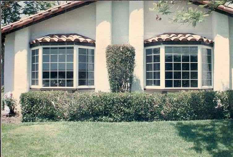 Windows
