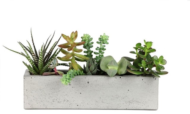 Concrete Windowsill Planter 12 Industrial Indoor Pots And Planters By Rough Fusion