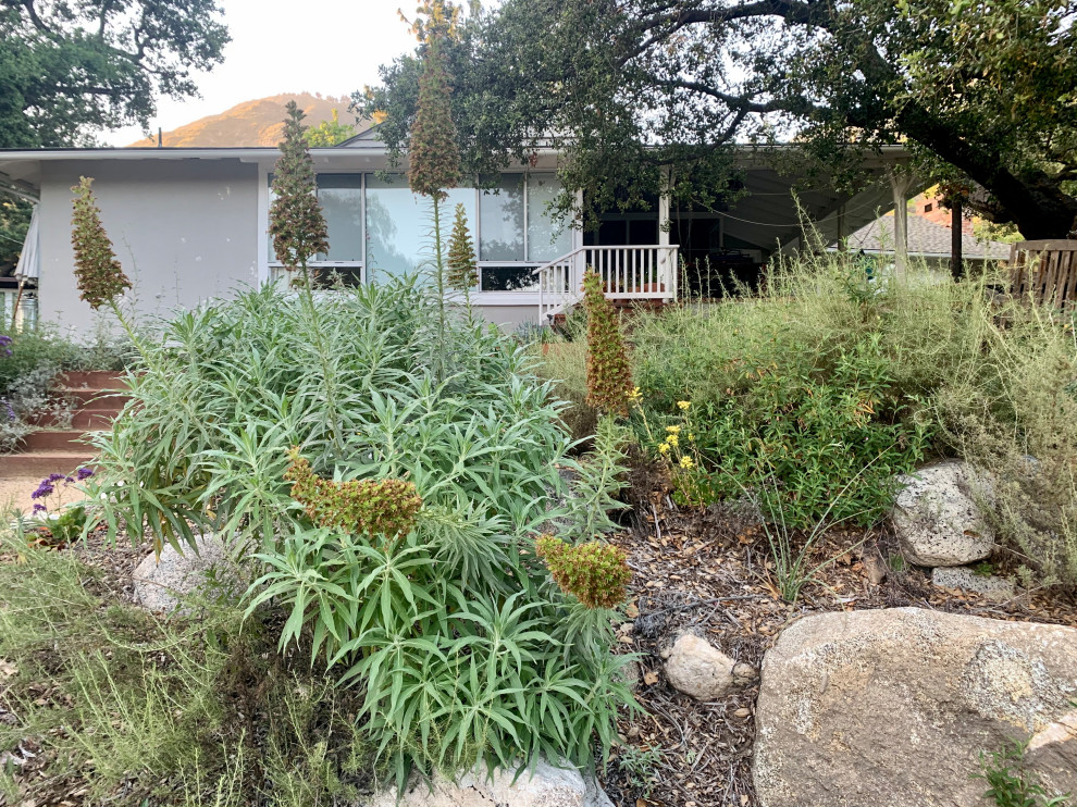 Großer, Halbschattiger Nordischer Vorgarten im Sommer mit Steindeko und Granitsplitt in Los Angeles