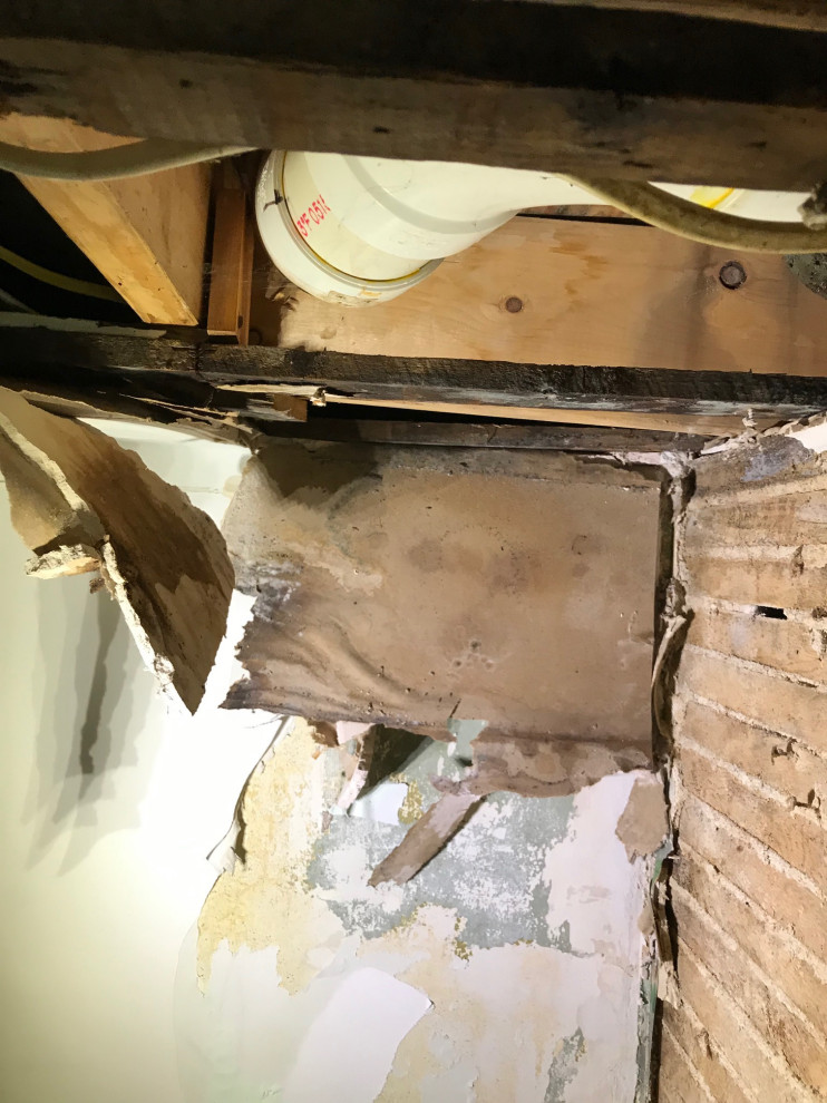 water Mitigation Cambridge