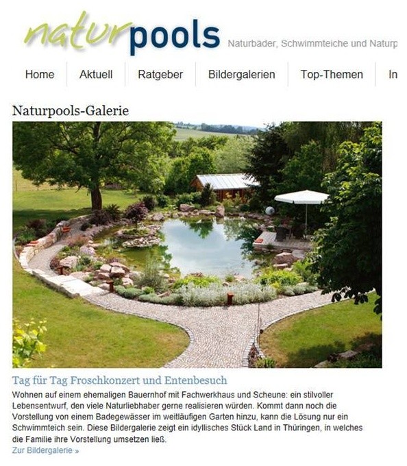Großer Garten mit Wasserspiel, direkter Sonneneinstrahlung und Natursteinplatten in Sonstige