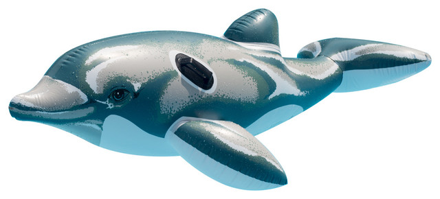dolphin pool toy