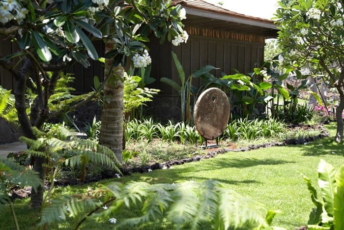 Inspiration for a tropical garden in Hawaii.