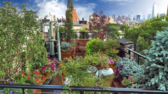 Jane St., West Village, -NYC Rooftop contemporary-uteplats