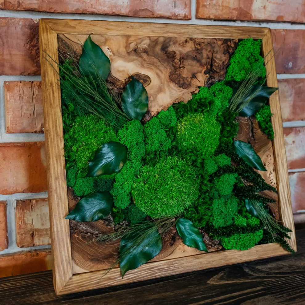 Фито-картины