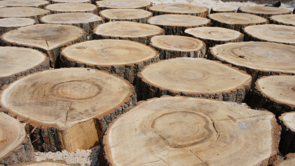 Прохорово лето 2017