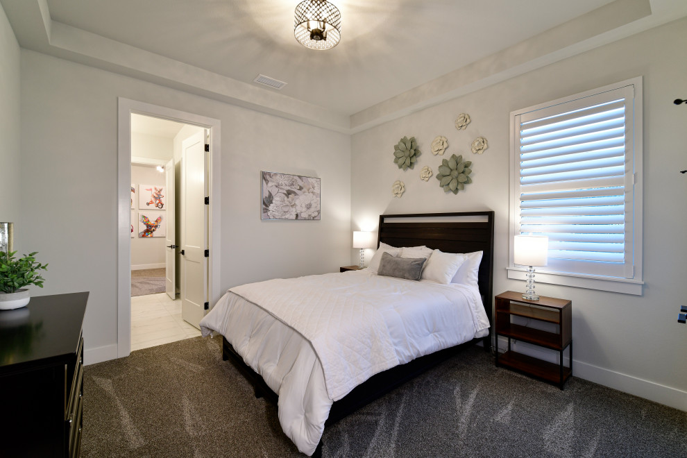 Mid-sized transitional guest carpeted, gray floor and tray ceiling bedroom photo with gray walls