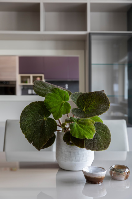 Calm Home - 120 mq trendy
