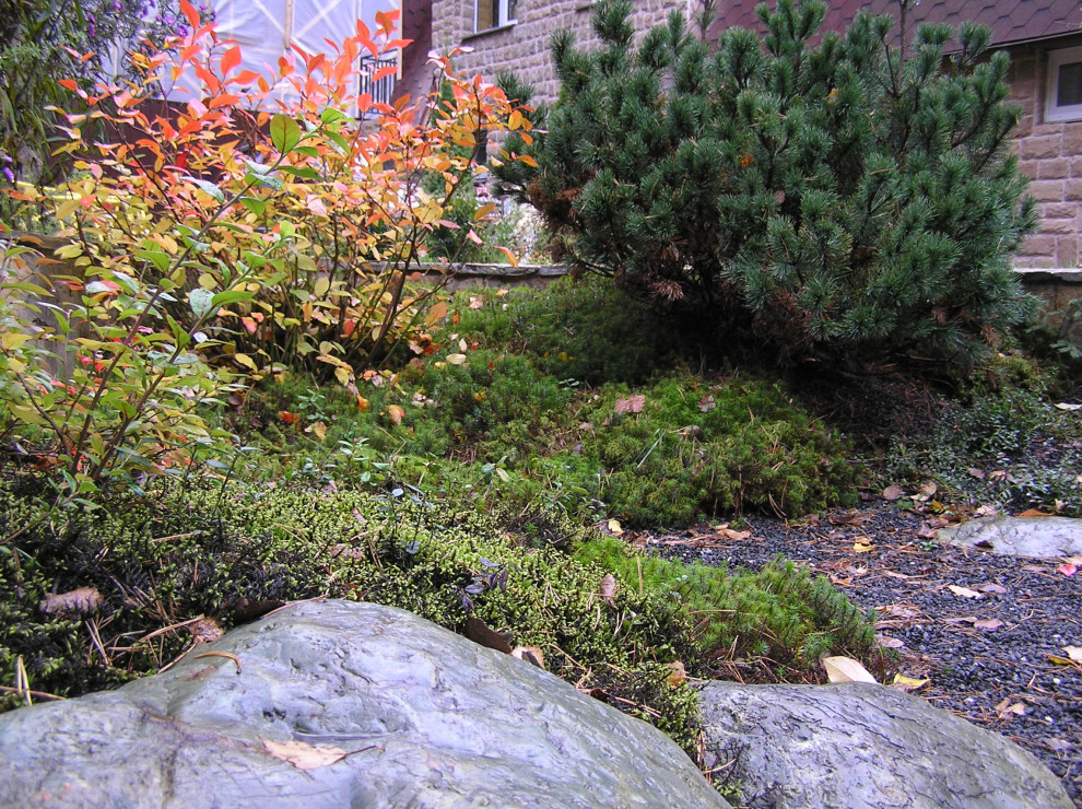 Брусничник