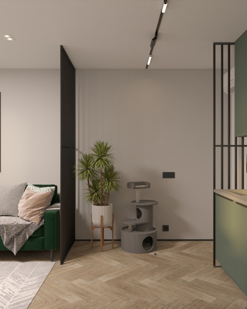 Проект квартиры в ЖК Геометрия