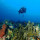 Scuba Diving Surabaya Academy