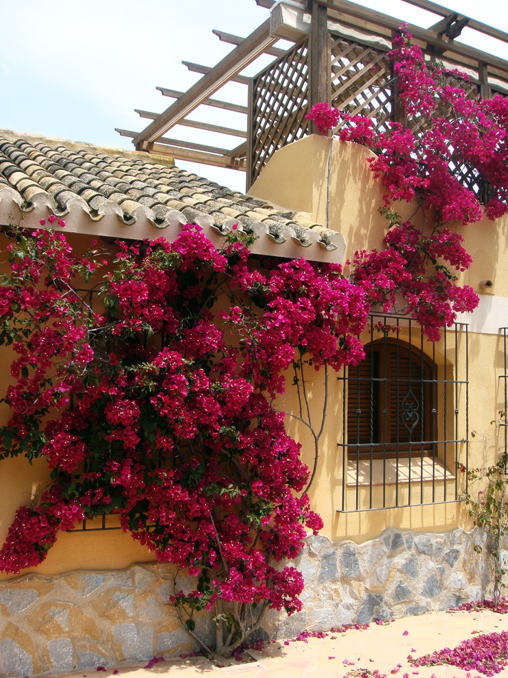 Photo of a mediterranean exterior in Other.