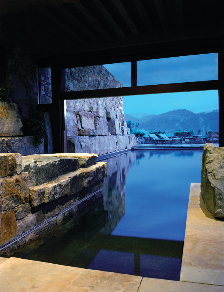 Example of a trendy rectangular pool design in Denver