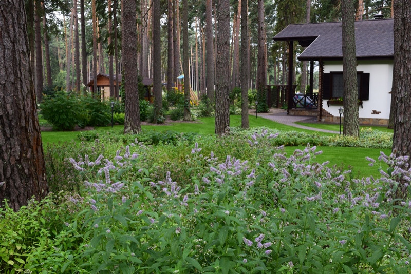 «Пряничный домик» в сосновом бору
