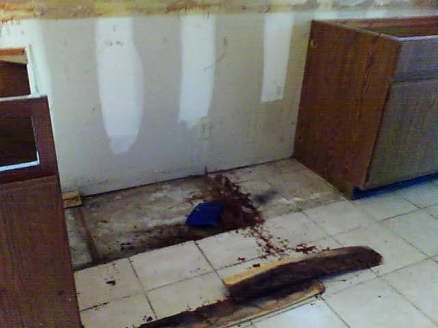 Kitchen Water Damage