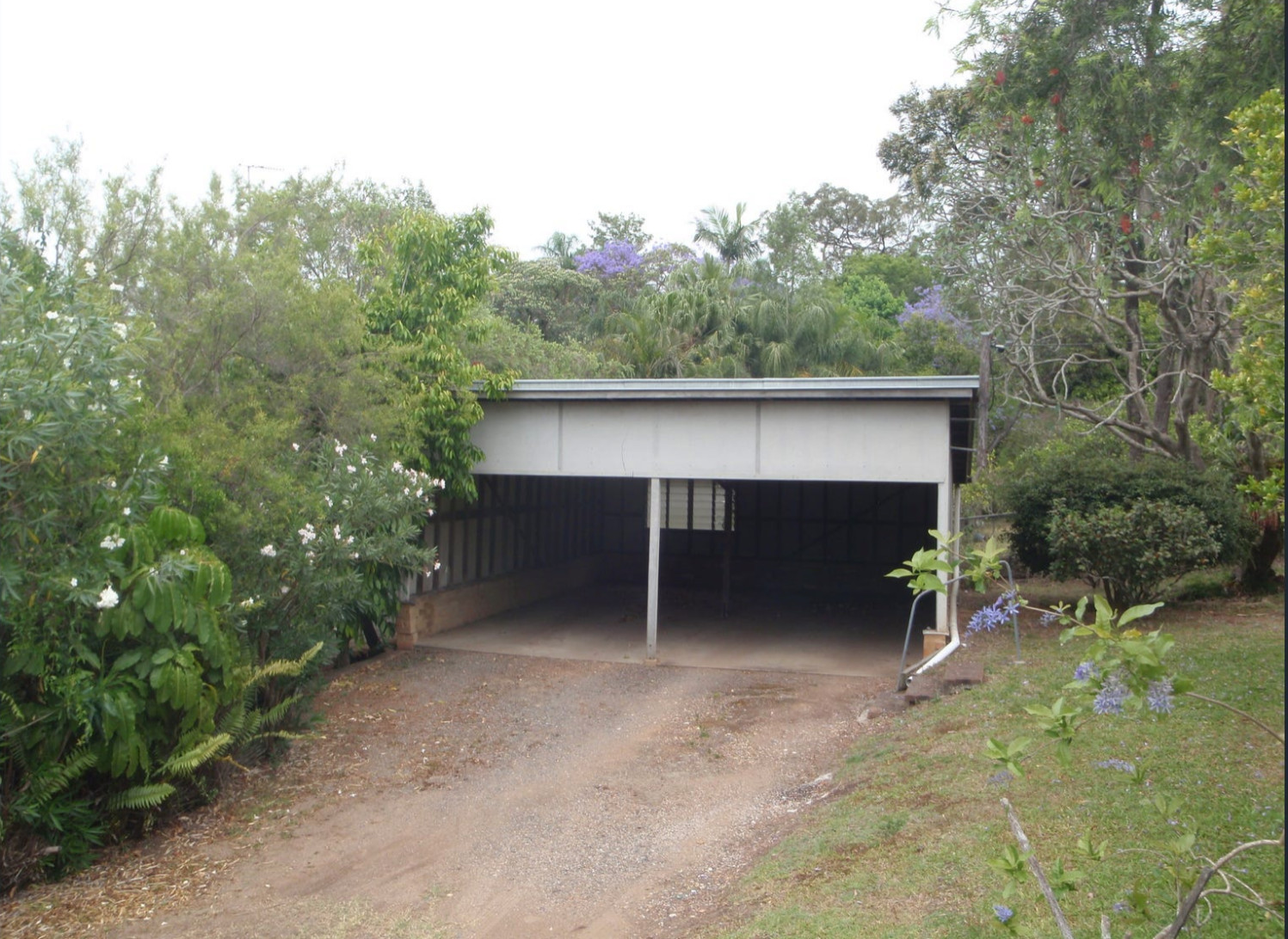 Taringa Project