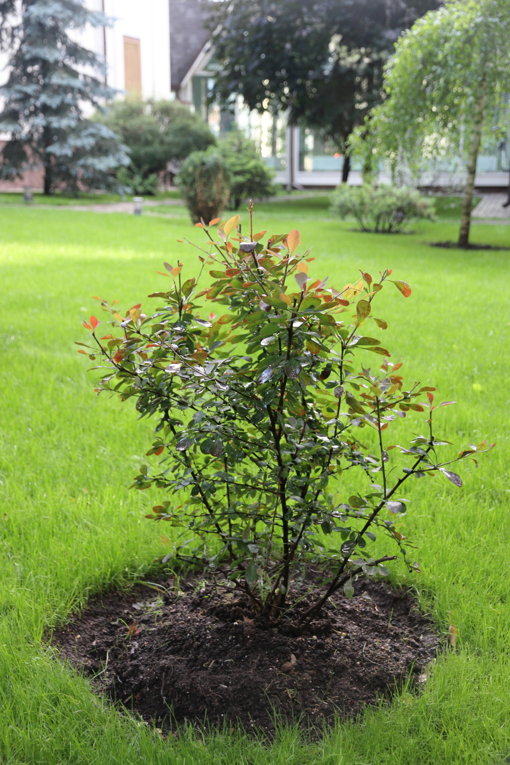 Коттеджный поселок. Руза