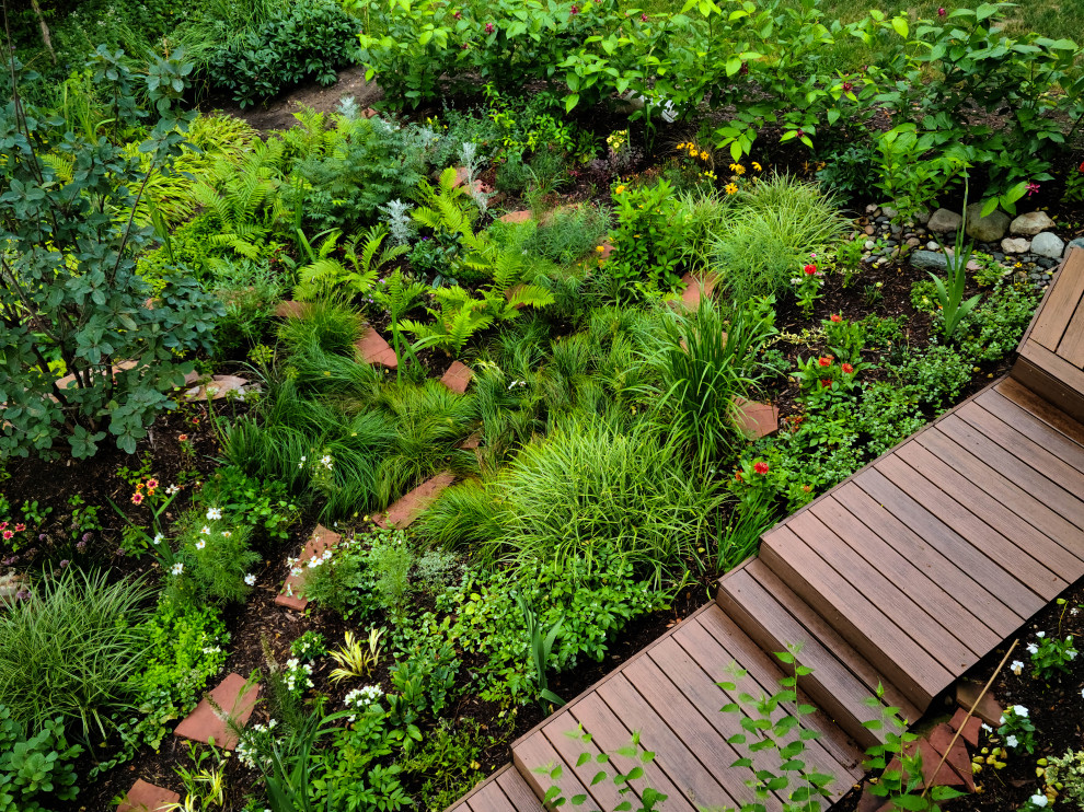 Overhead of natural garden with a touch of Arizona style Southwestern