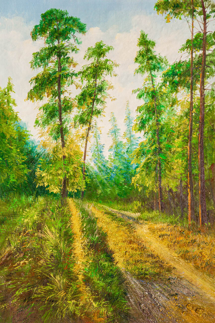 В лесной тиши