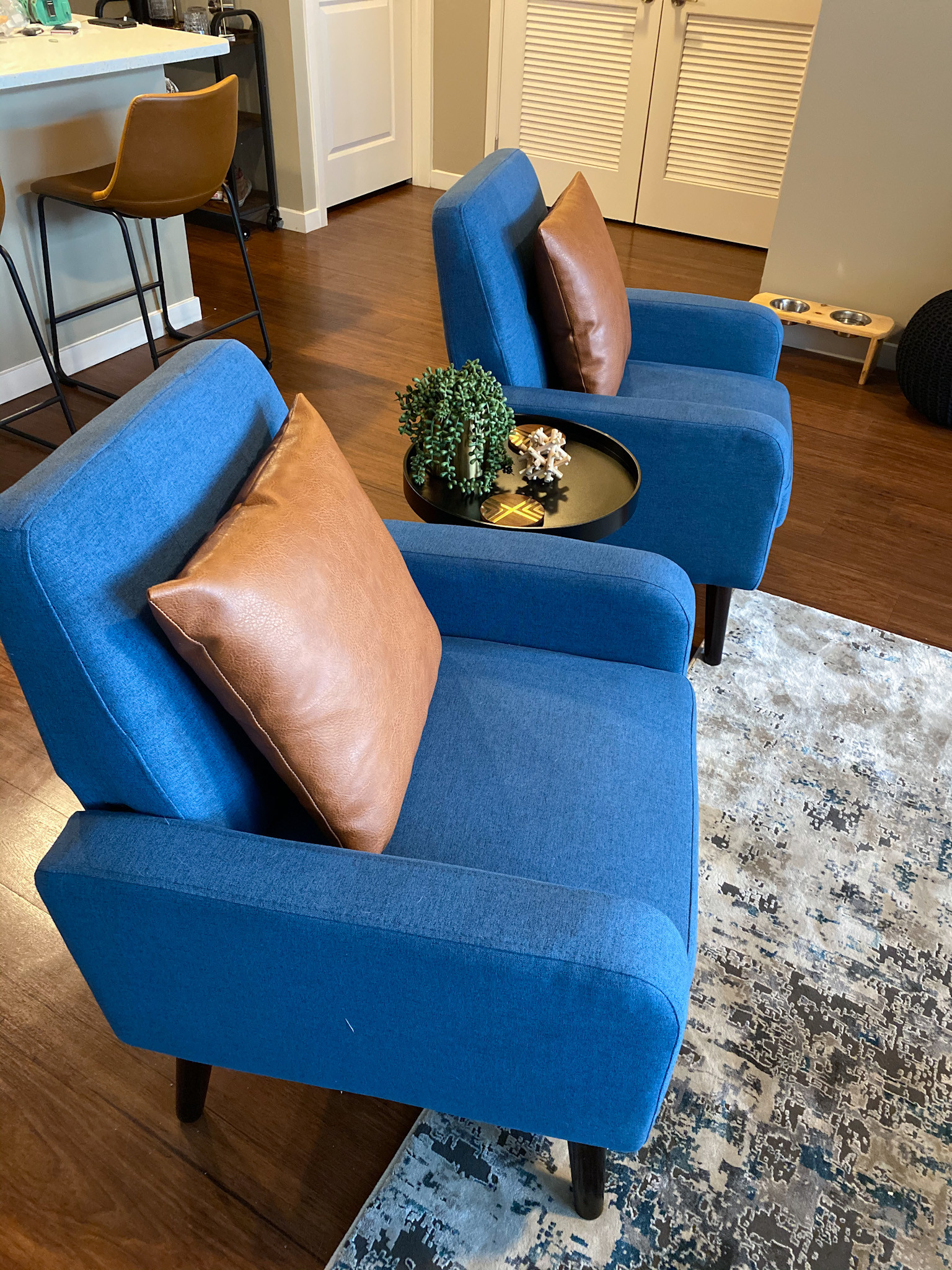 Mid Century Modern Apartment