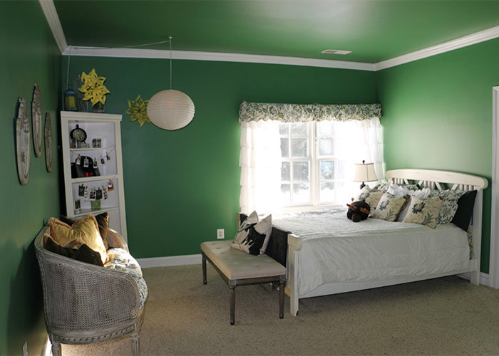 This is an example of a transitional bedroom in DC Metro with green walls and carpet.