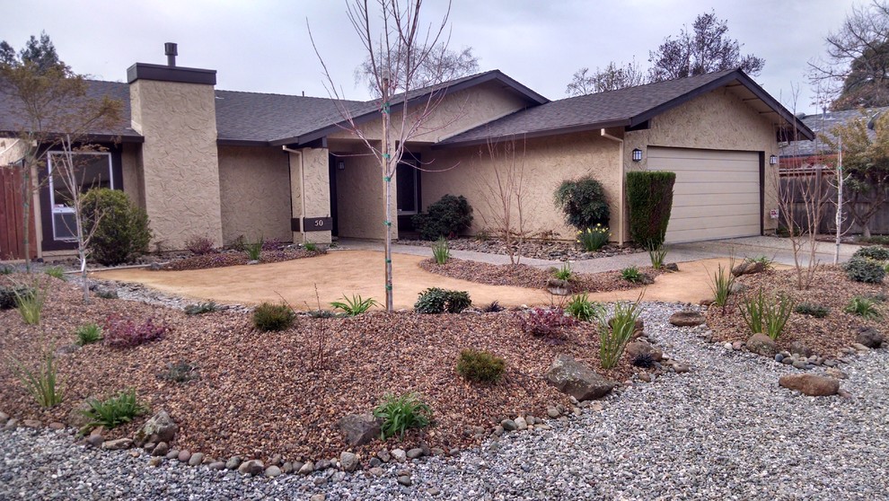 Photo of a mid-sized traditional front yard garden in Other with gravel.