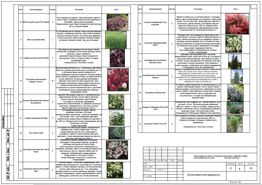Деревня Старая. Банный комплекс