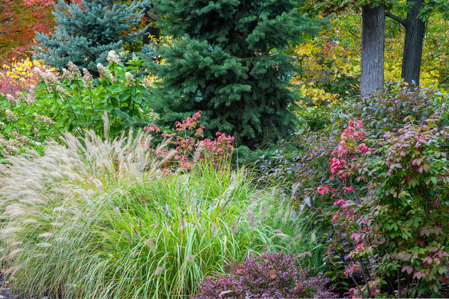 Ravine Garden Oasis - Transitional - Landscape - chicago - by NLH ...