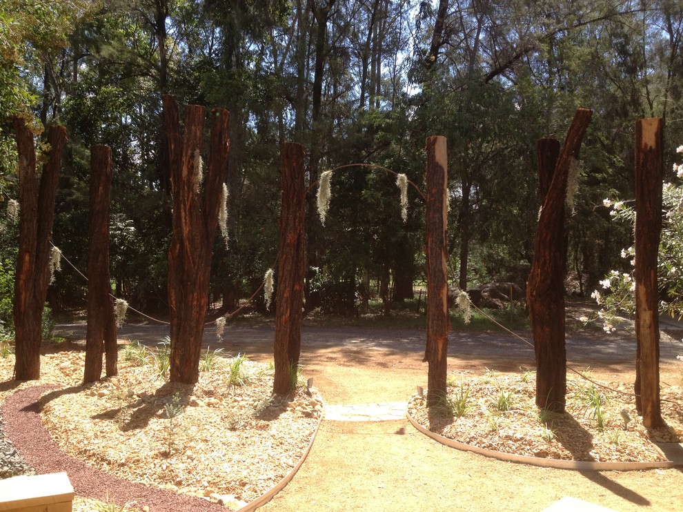 Photo of an australian native contemporary garden in Brisbane.