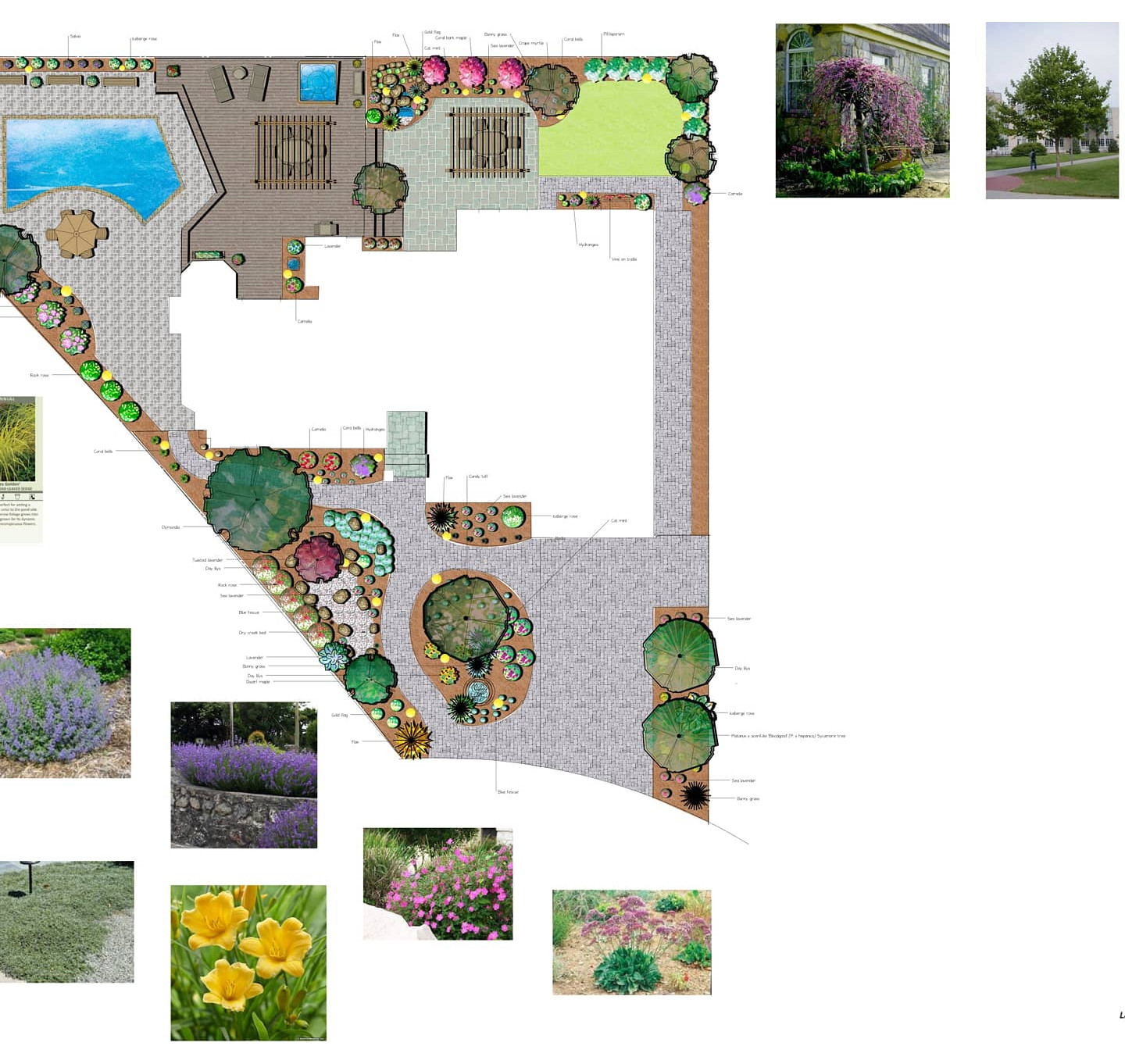 Landscape Designs