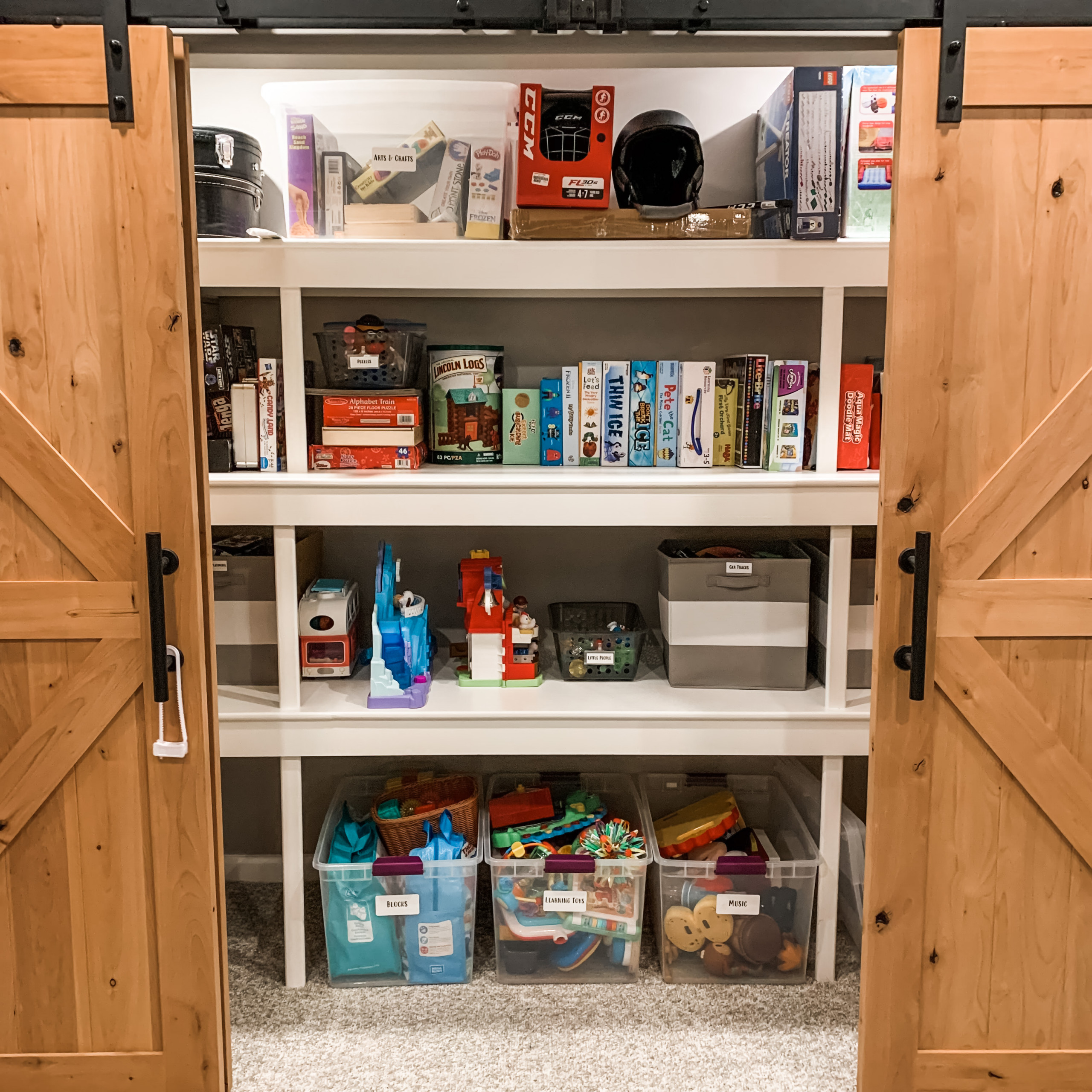 Basement Organization