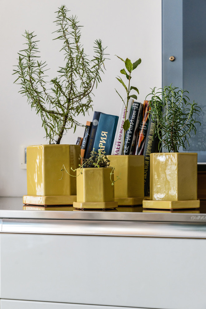 Озеленение квартиры