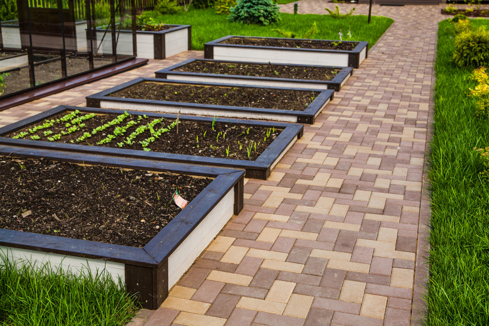 Невская дубровка