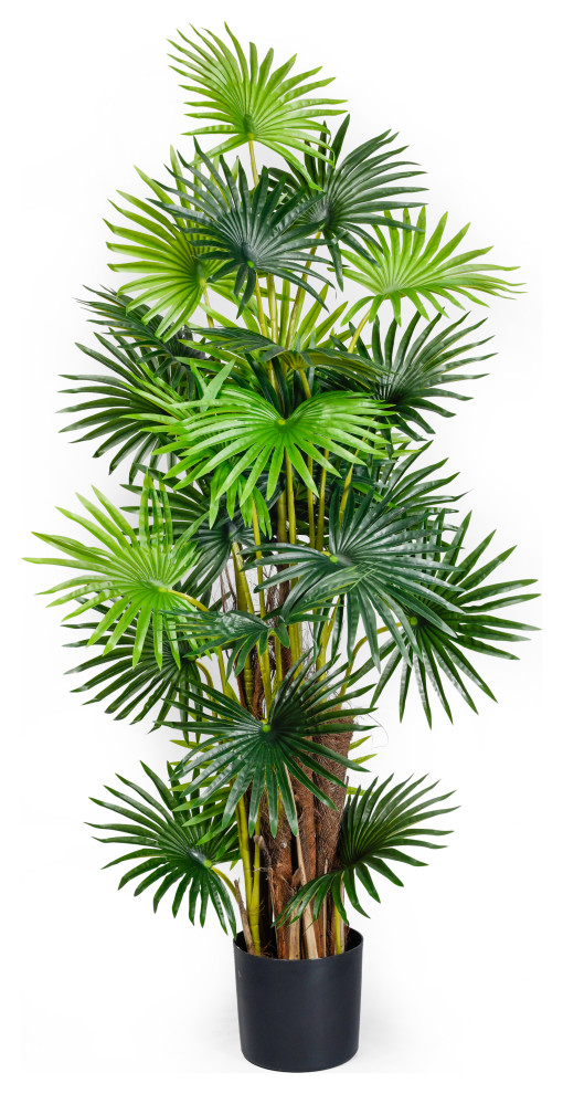 Serene Spaces Living Fan Palm Tree, Real Looking Tree, 57" Modern