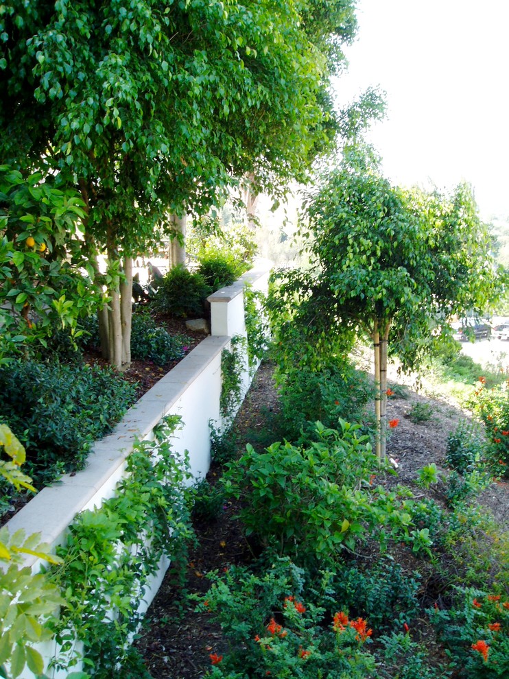 Traditional garden in San Diego.