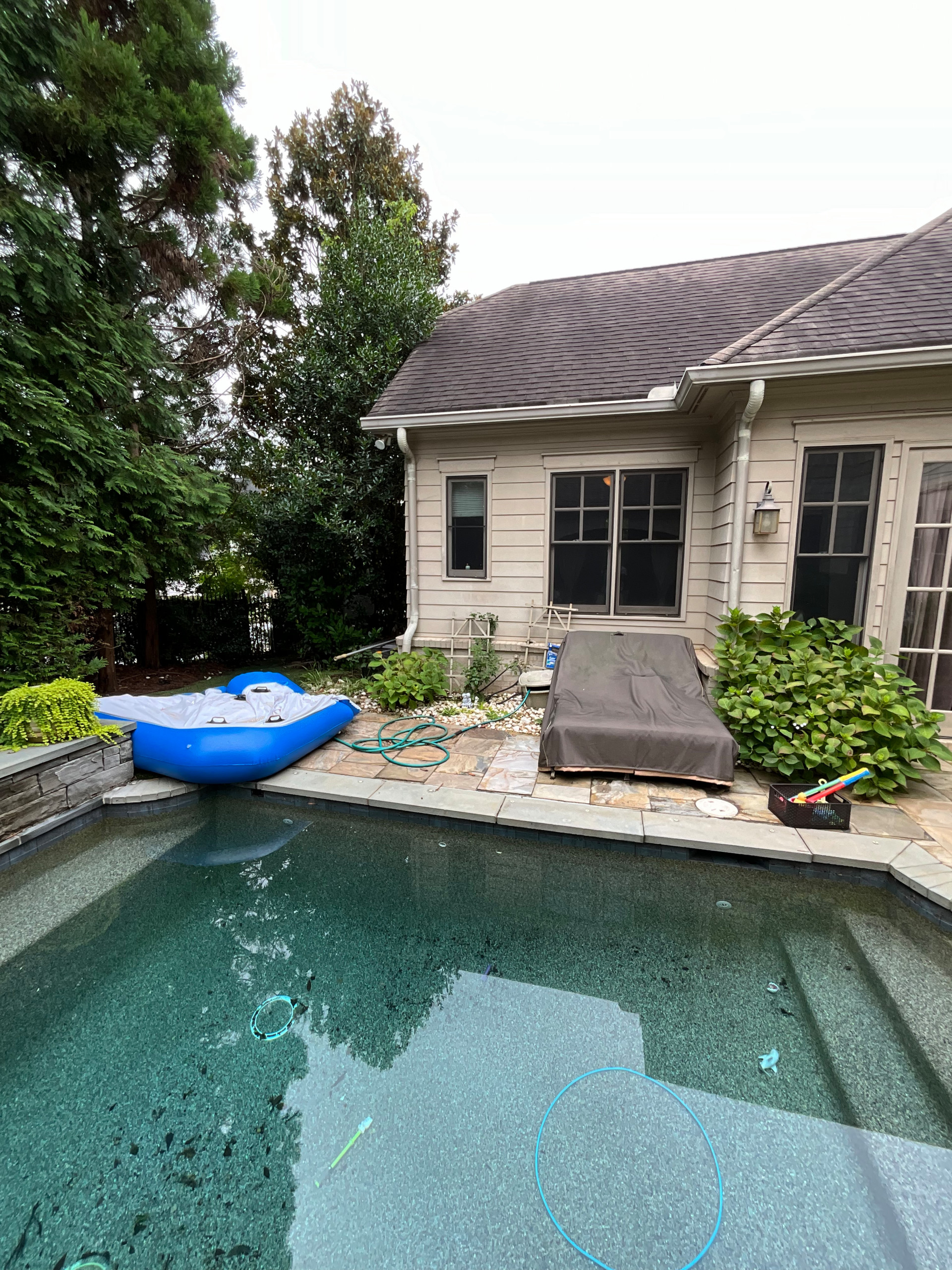 Back Yard Update