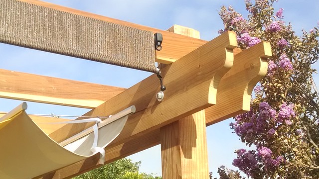 Structural Elements contemporary-garden
