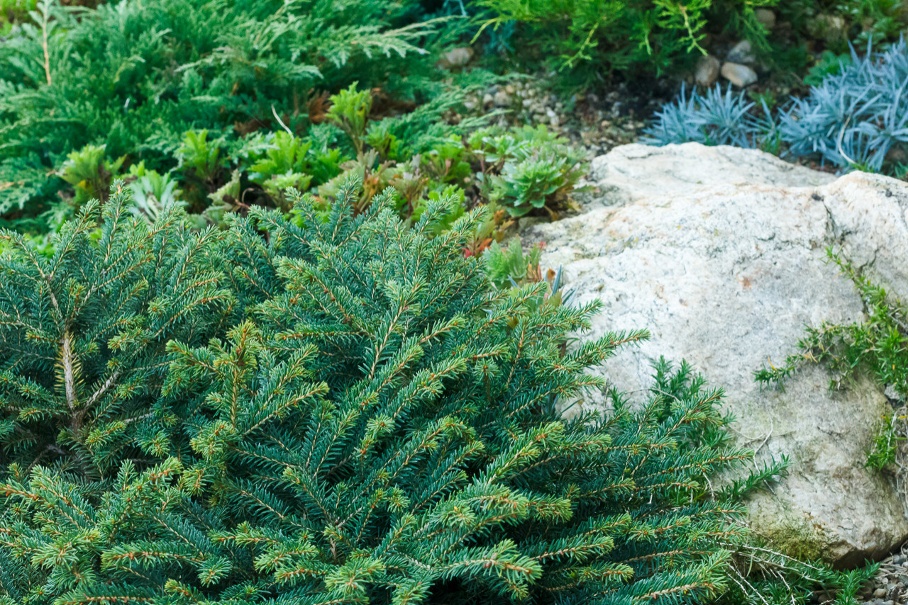 Минимализм в саду