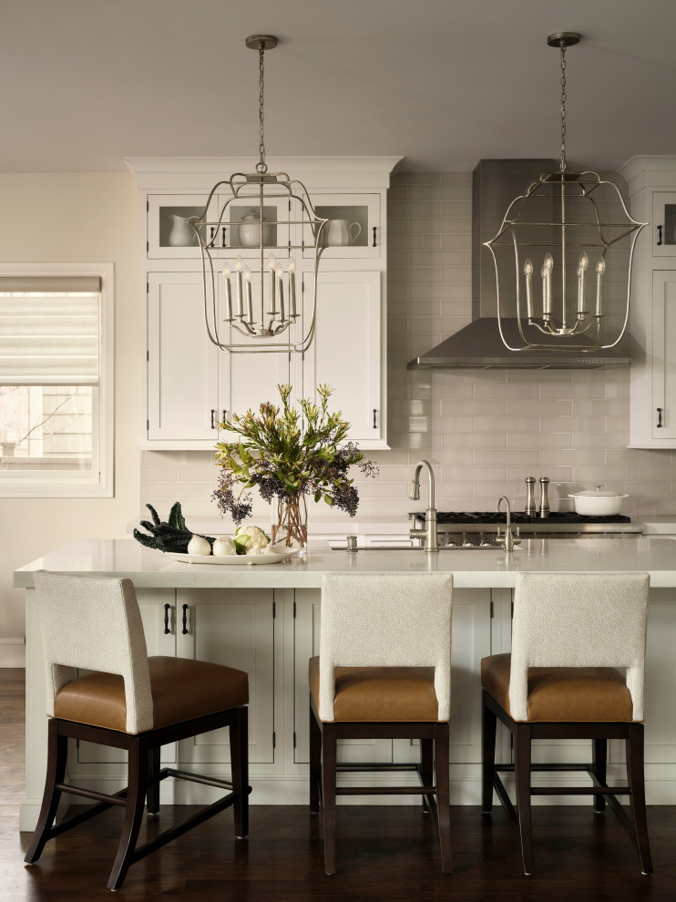 Kitchen - transitional kitchen idea in Denver