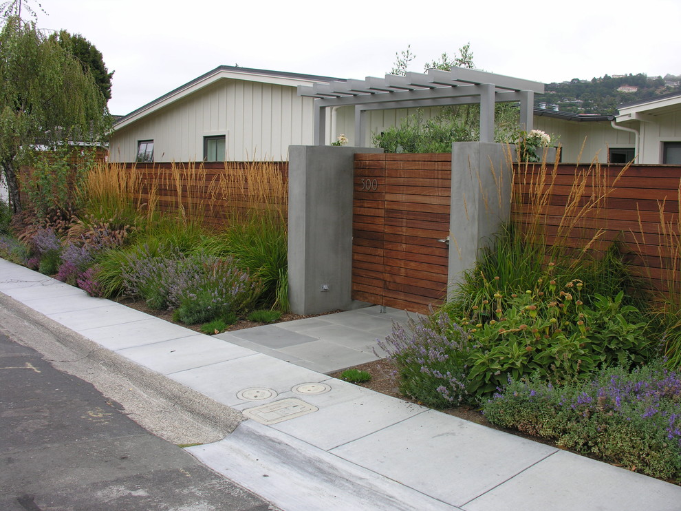 This is an example of a small modern front yard full sun garden for fall in San Francisco with a garden path and mulch.