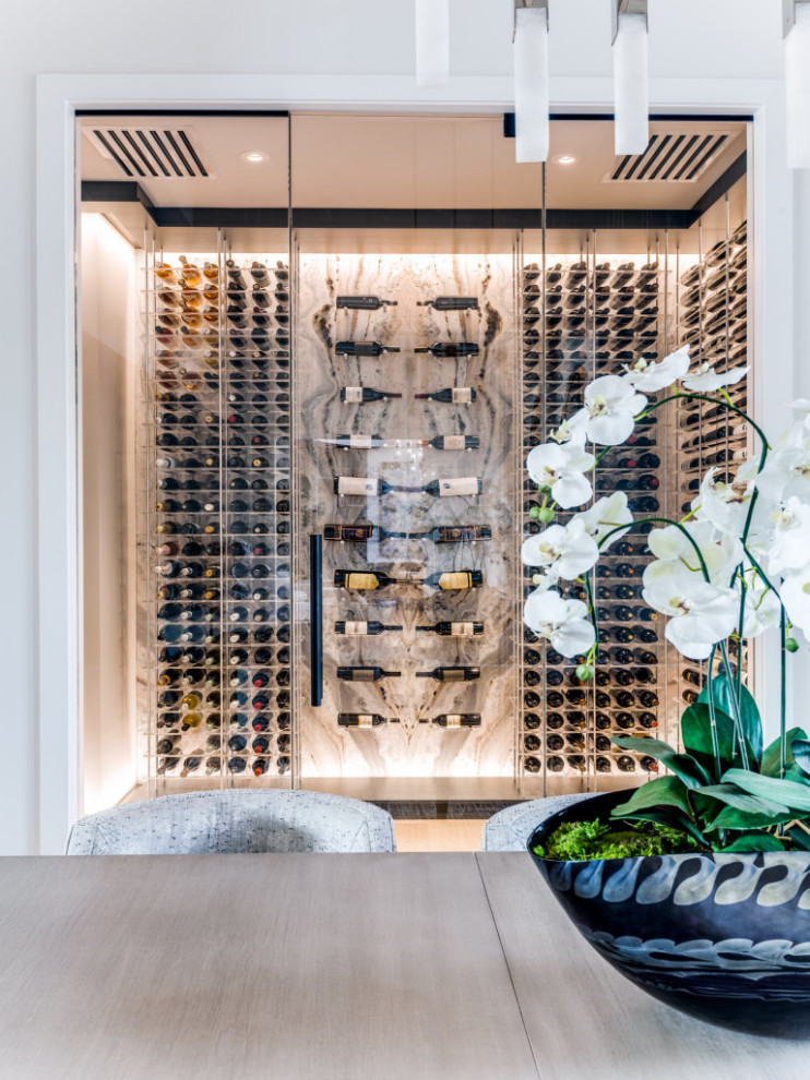 Design ideas for a modern wine cellar in Dallas.
