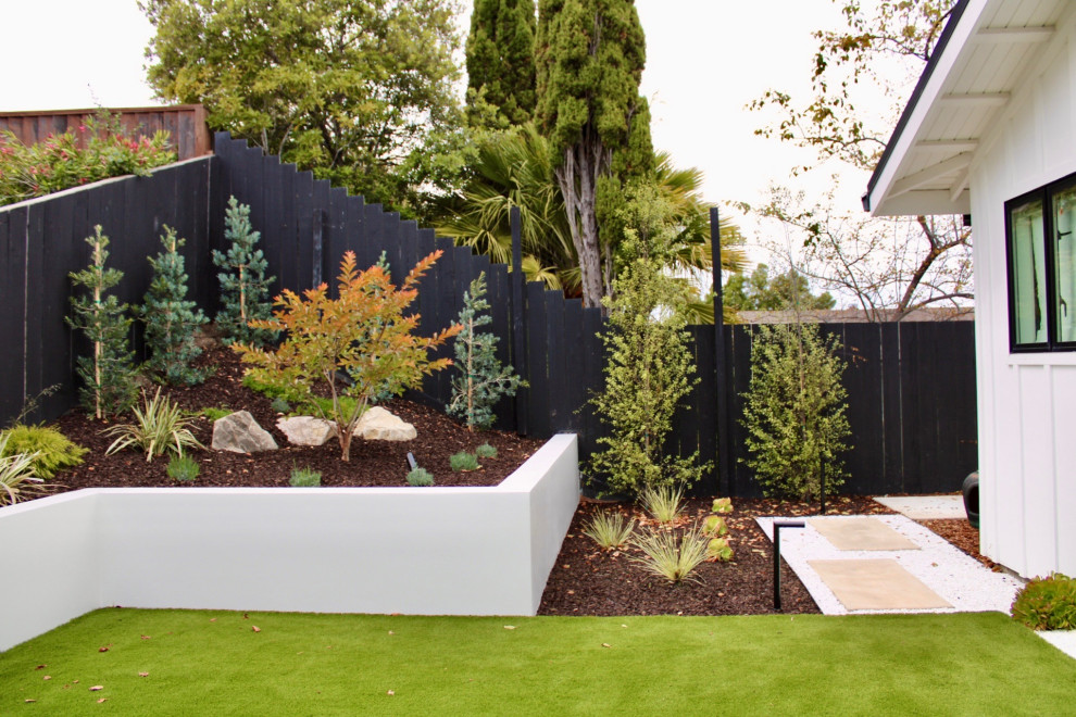 Monochromatic Burlingame Backyard