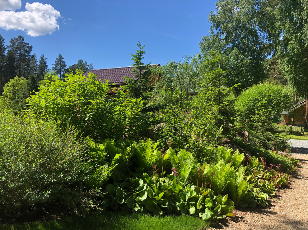 Усадьба на краю леса