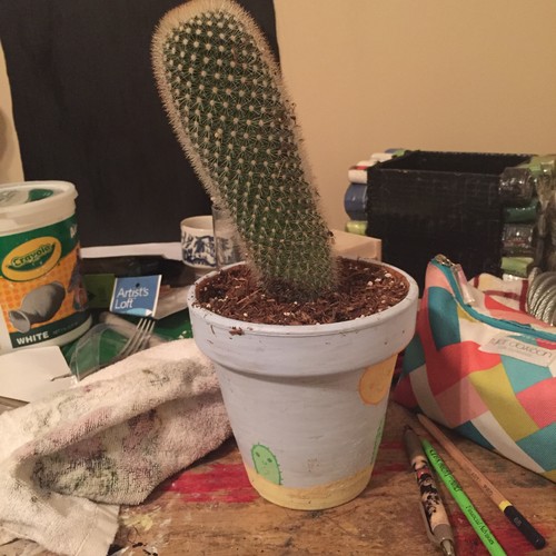 help!! my cactus is falling over
