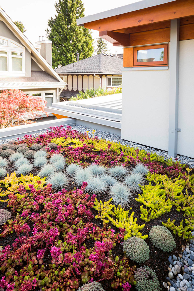 Photo of a contemporary rooftop xeriscape in Vancouver.