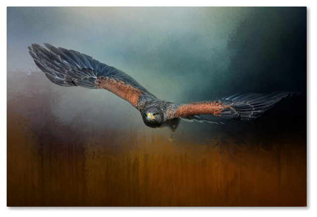 Jai Johnson Flight Of The Harris Hawk Canvas Art 19 X 12