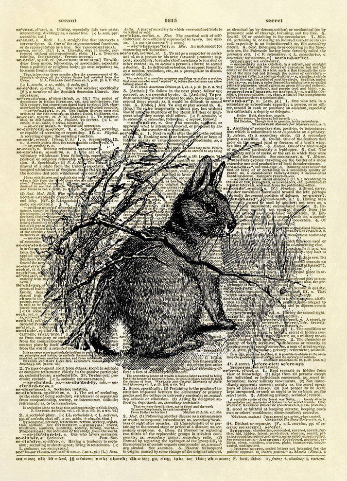 Cottontail Bunny Rabbit Dictionary Art Print, Black